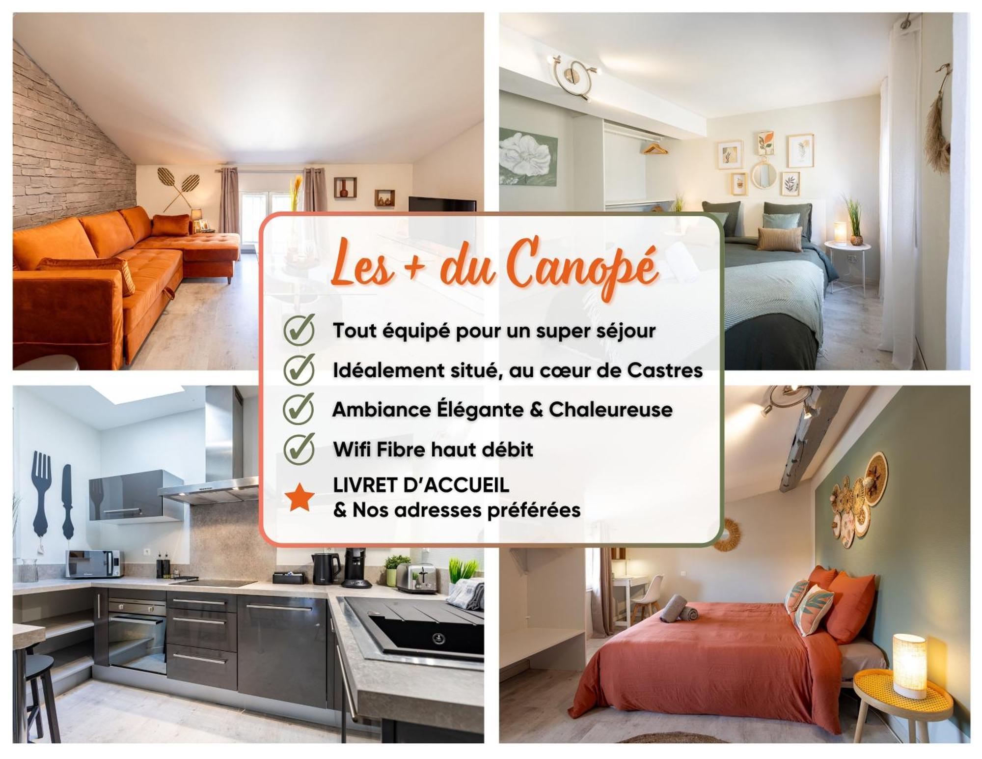 Le Canope - T3 Duplex, 2 Salles D'Eau, Hypercentre Castres  Exterior photo